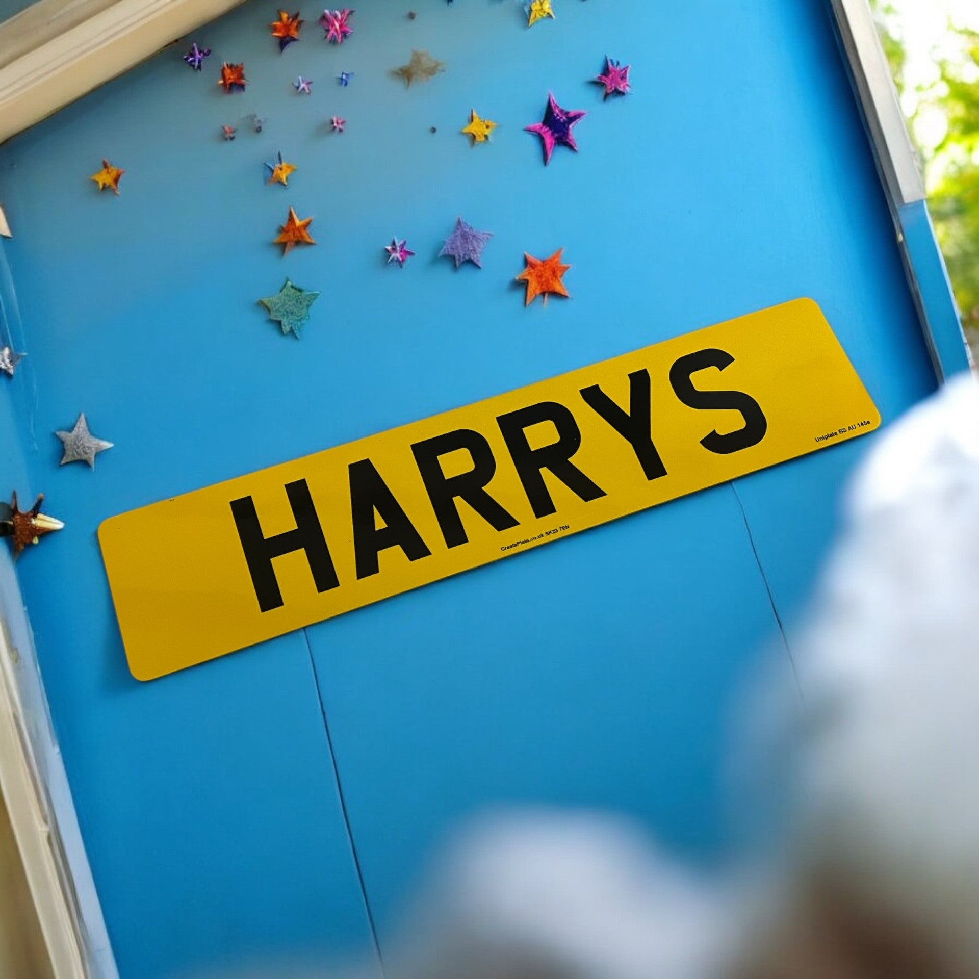 Kids Novelty Room Plate - Printed Number Plate Single